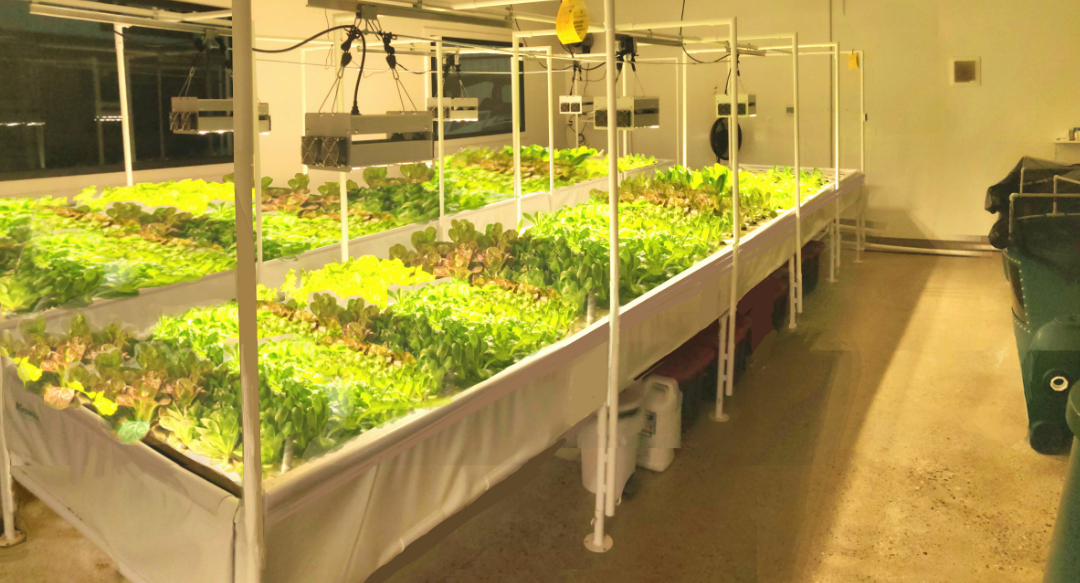 Castaways Farm red barn vacation relaxing exciting adventure