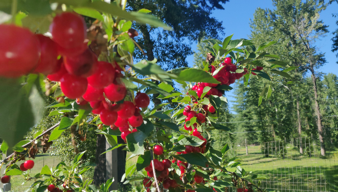 Castaways Farm red barn vacation relaxing exciting adventure