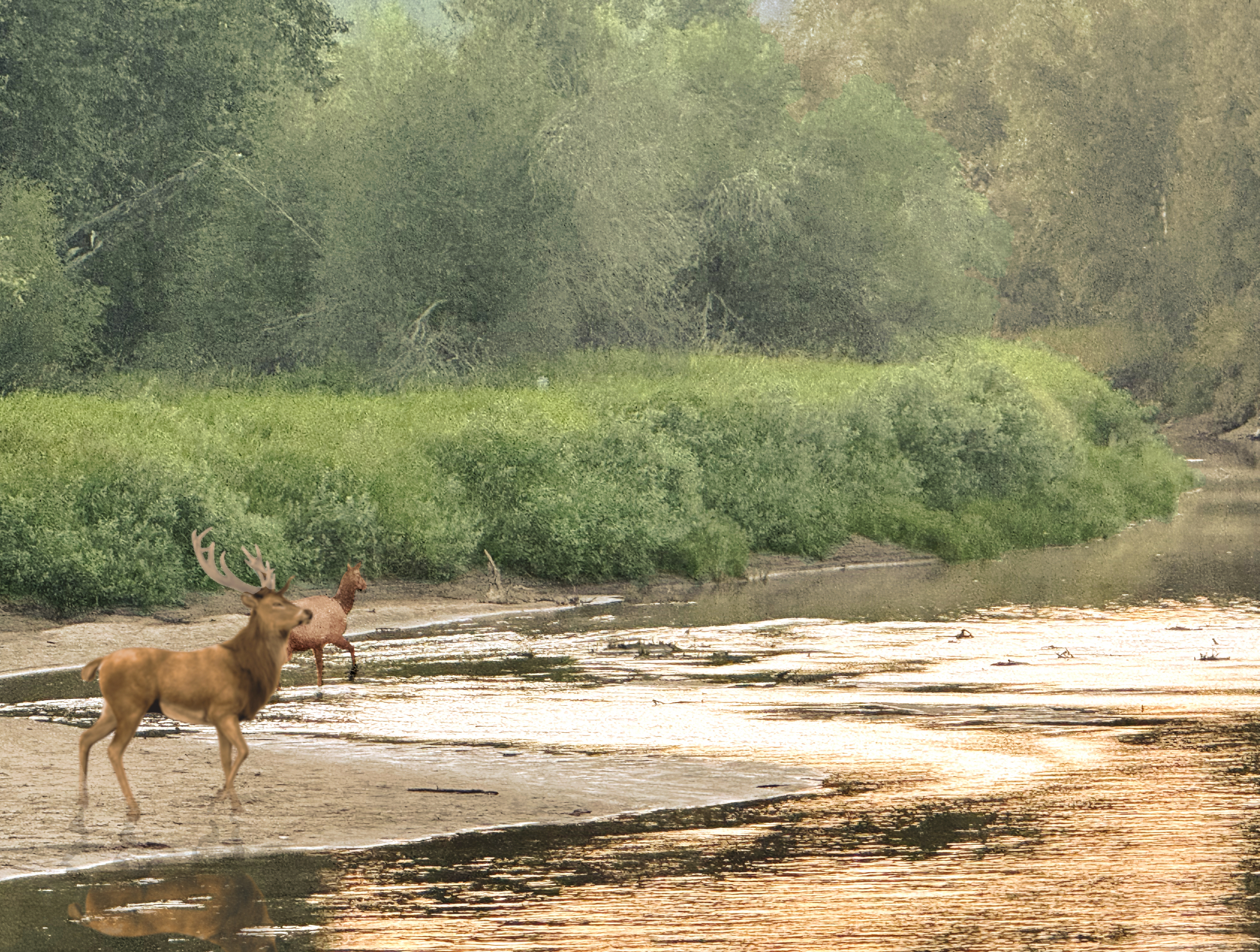Castaways Farm red barn vacation relaxing exciting adventure