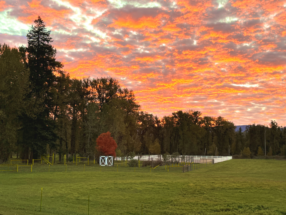 Castaways Farm red barn vacation relaxing exciting adventure