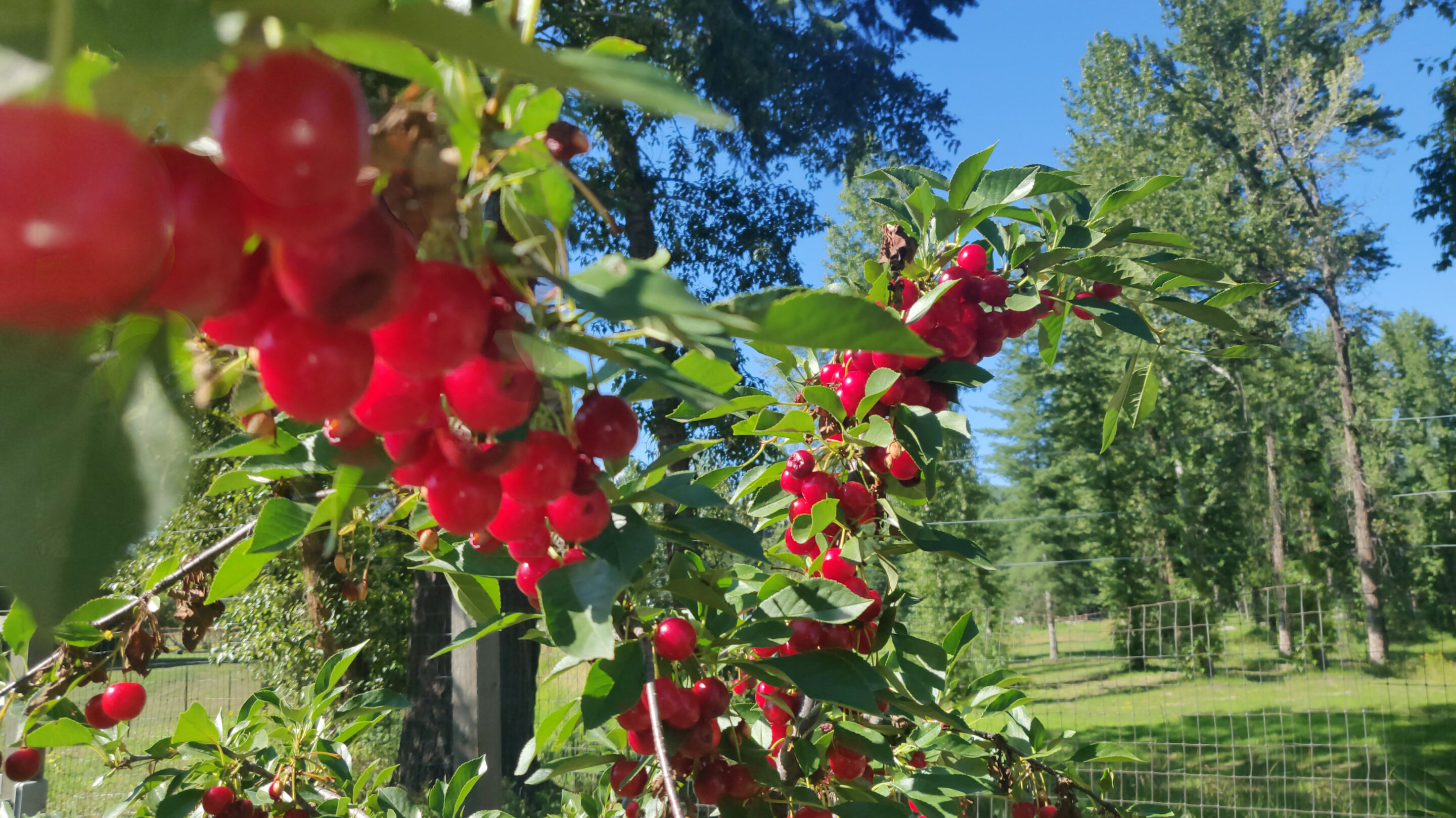 Castaways Farm red barn vacation relaxing exciting adventure