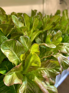 Castaways Farm red barn vacation relaxing exciting adventure